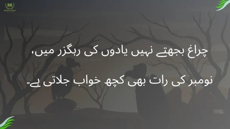 November Shayari in Urdu | Romantic & Sad Poetry 1 November Shayari in Urdu