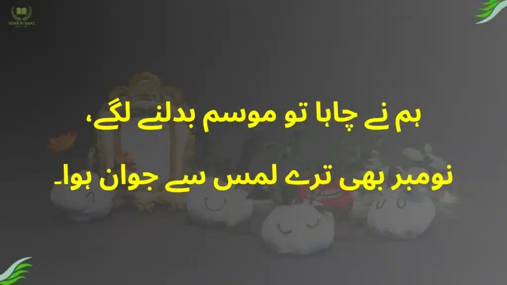 Sad November Shayari in Urdu