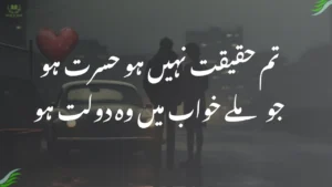 Tum Haqiqat Nahin Ho Hasrat Ho