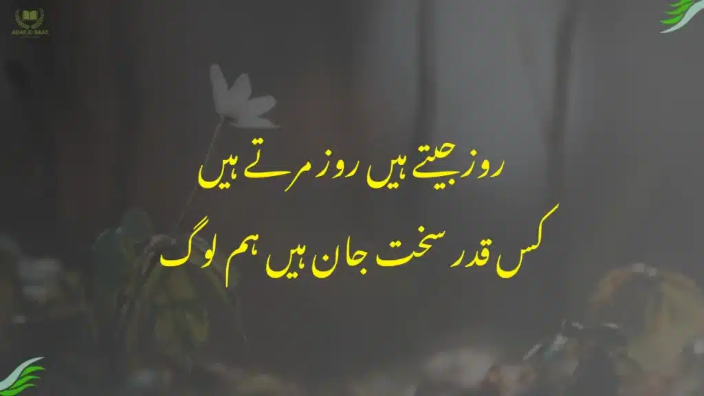 Beautiful Poetry About Life Beautiful poetry about life in Urdu – hopeful and positive zindagi shayari