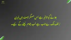 Poetry on Smile in Urdu