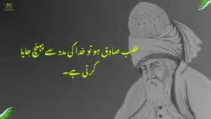 Rumi Quotes in Urdu