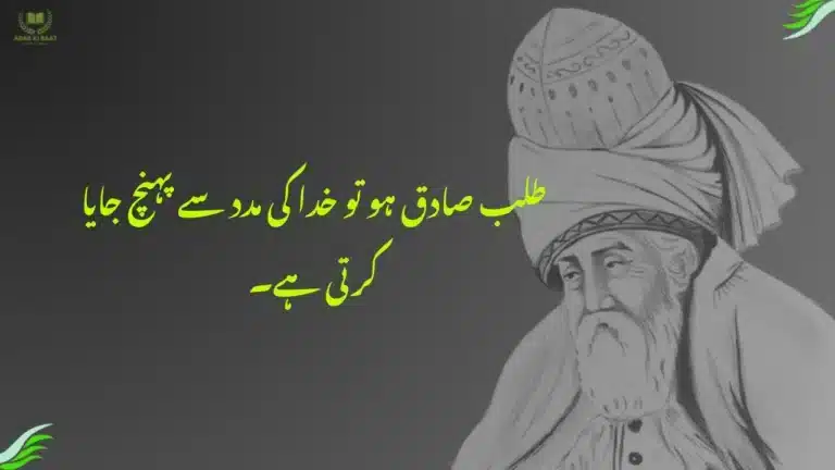 Rumi Quotes in Urdu