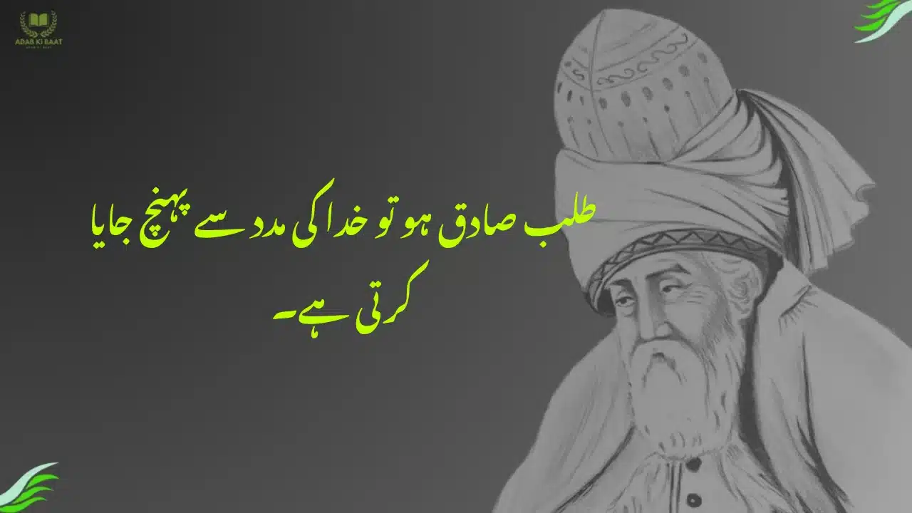 Rumi Quotes in Urdu