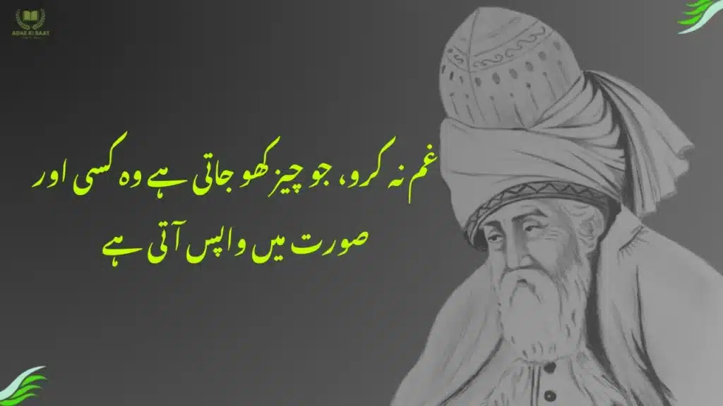 غم نہ کرو، جو چیز کھو جاتی ہے وہ کسی اور صورت میں واپس آتی ہے

best rumi quotes