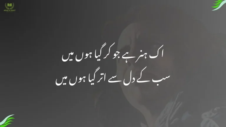 ek hunar hai jo kar gaya hun main