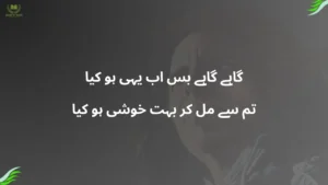 gahe gahe bas ab yahi ho kya