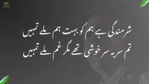 sharmindagi hai ham ko bahut ham mile tumhen