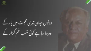 Donon jahan teri mohabbat mein haar ke