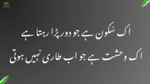 Deep poetry in Urdu text expressing emotions of life, love, and silence