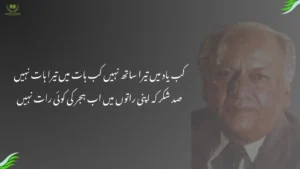 kab yaad mein tera sath nahin kab hat mein tera hat nahin