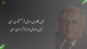 nahin nigah mein manzil to justuju hi sahi