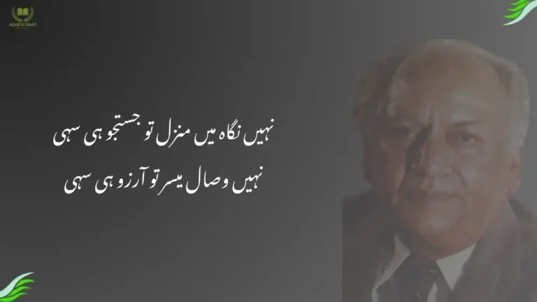 nahin nigah mein manzil to justuju hi sahi