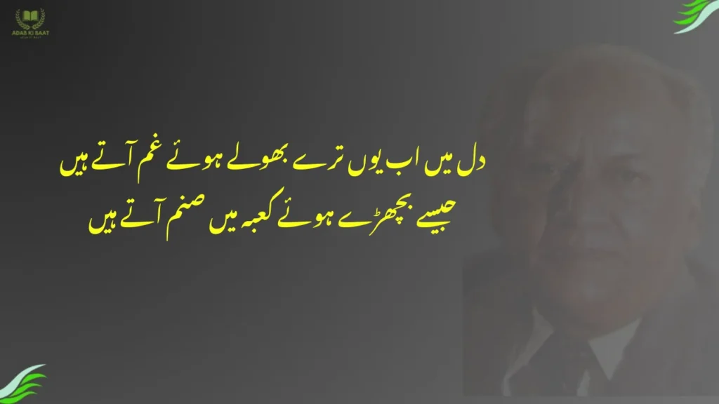 dil mein ab yun tere bhule hue gham aate hain