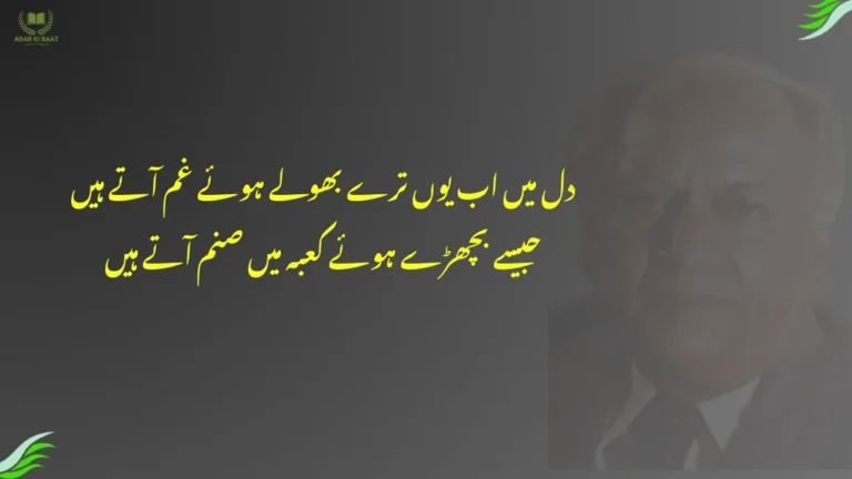 dil mein ab yun tere bhule hue gham aate hain