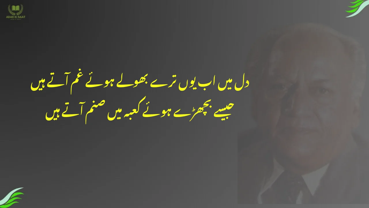 dil mein ab yun tere bhule hue gham aate hain