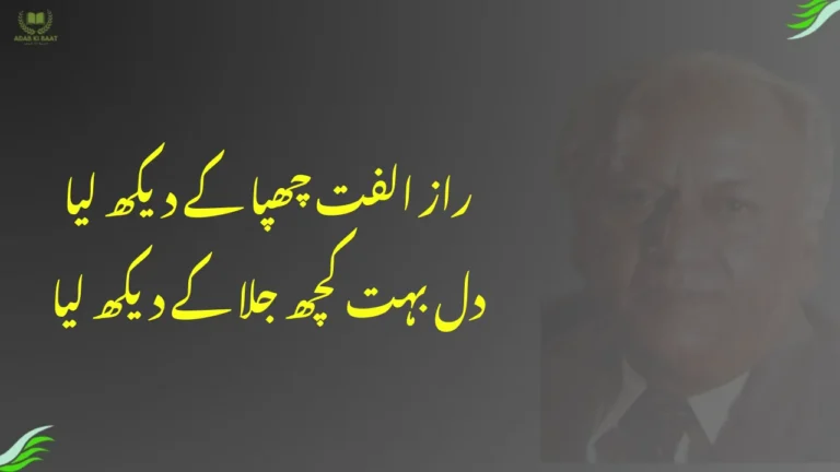 raaz-e-ulfat chhupa ke dekh liya