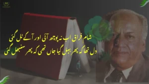 sham-e-firaq ab na puchh aai aur aa ke Tal gai