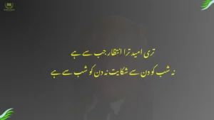 teri umid tera intizar jab se hai