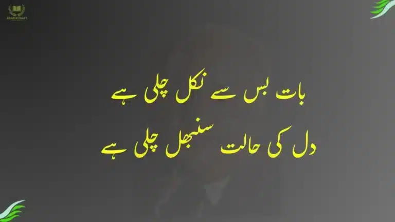 بات بس سے نکل چلی ہے