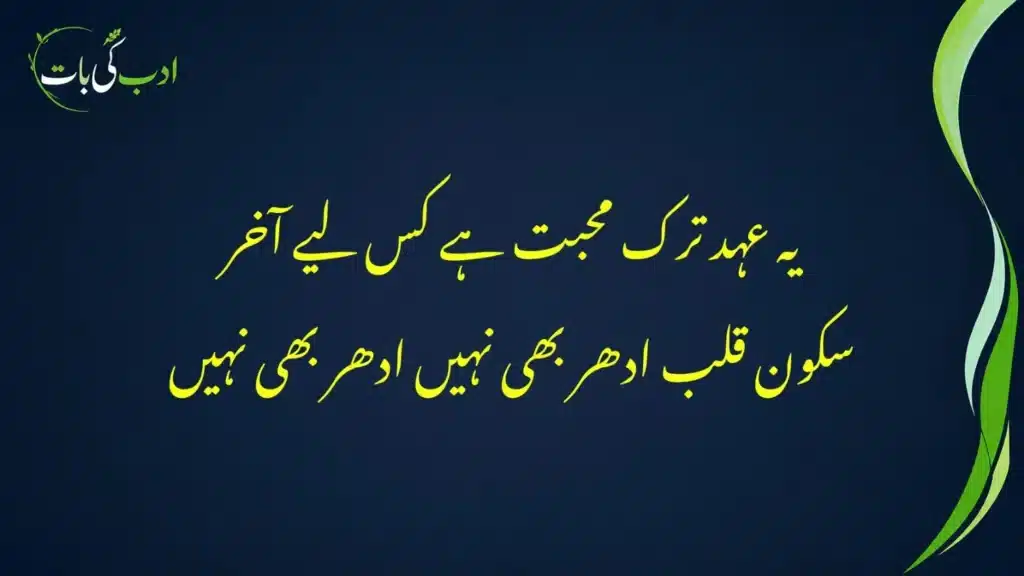 wafa-e-wada nahin wada-e-digar bhi nahin