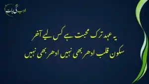 wafa-e-wada nahin wada-e-digar bhi nahin