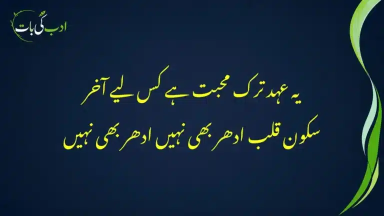 wafa-e-wada nahin wada-e-digar bhi nahin
